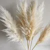 Decorative Flowers Wreaths 80cm 10Stems Pampas Grass Boho Style Decoration Fluffy Dried Flower Decoration Wedding Arrangement Natural Trockenblumen 230313