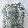 Flores decorativas Hiedra artificial Mantenimiento fresco 5 Bifurcado Reutilizable Colgante Verde Eucalipto Hojas de vid Faux Rattan Decoración de pared