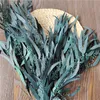 Decorative Flowers Wreaths 140g/50-60cm Nature Preserved Eucalyptus Millet Leaf DIY Eternell Flower Floral Plant Wedding Use Home Decoration Dry Flower 230313