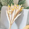 Decorative Flowers Wreaths Dried Pampas Grass Ornament Natural Pomba Hay For Flower Arranging Wedding Home Decor Pampas Grass Rabbit Tail Marigold 230313