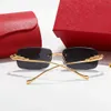 Designer Men's and Women's Beach Couple Sunglasses 20% Off Small frame frameless square male female leopard head metal cheetah 2243