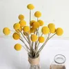 Ghirlande di fiori decorativi 5PCS Fiori secchi naturali Eternal Colorful Ball Conservato Bouquet Regali Craft Wedding Home Decorazioni natalizie Po P