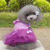 Abbigliamento per cani Animali domestici Abito a righe con fiocco Cani a righe con nodi Gatti Abiti estivi Gonna Piccolo gatto Chihuahua Colletto con volant in tulle di pizzo