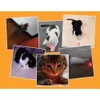 1 pièces Laser drôle chat bâton nouveau Cool 2 In1 rouge pointeur Laser stylo avec lumière LED blanche enfants jouent chien jouet