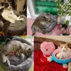 أسرة القط وصول سرير دافئ مخملي مخملية مريحة شكل الأذن بيت لجيو كامو غاتو جميل كهف ناعم