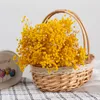Decorative Flowers Wreaths Bohemian Wedding Decoration Natural Plants Easter Decoration Gypsophile Accessories for Home Decor Natural Dried Flower 230313
