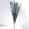 Dekorativa blommor kransar 40-45cm 10st/mycket verklig naturtorkad evig eukalyptusblad Bukett för bröllopsheminredningar Tillbehör Display Flowers 230313