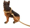 Hundehalsbänder Metall Edelstahl Haustier Goldhalsband Leine Super Outdoor Große Trainingskette Dekor Halskette für alle Hunde 10E