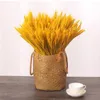 Fiori decorativi Spighe di grano dorate Ornamenti di fiori veri Bouquet essiccato naturale Decorazione di nozze per la festa di Natale Decorazioni per la casa Artigianato