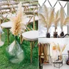 Decorative Flowers Wreaths 1pcs Natural Dried Reed Flower Bouquet Artificial Pampas Grass Fake Plant Floral Bouquet Decoration for Home Wedding Decor 230313