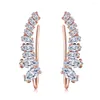 Stud -oorbellen dubbele beurs cz stenen vleugelstijl roségoud/wit goud kleurtoon mode kubieke zirconia sieraden voor vrouwen dwe791m
