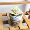 Decorative Flowers Artificial Succulent Plants Flower Bonsai Simulation Plant Set Home Wedding Decor Office Landscape Arrangement