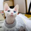 Disfraces de gato Ropa de esfinge para verano Vestido de princesa de encaje fino Falda para mascotas Lindo gatito Vestidos de gatito