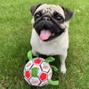 ألعاب الكلب مضغ جرو كرة القدم لكرة القدم التفاعلية للتدريب في الهواء الطلق.