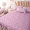 Bedkjol Luxury Lace broderi Bedstrålning förtjockar plysch quiltad säng kjol mjuk borstad king size säng täckning inte inklusive örngott 230314