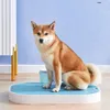 Andere hondenbenodigdheden slim toilet voor S Pet Products Accessoires Automatisch dienblad LOO Hygienic Indoor Gebruik Puppy Training Pad gemakkelijker Clea 230313