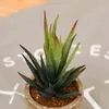 Dekoratif çiçekler 1 adet flowerpot ev bahçesi mini bonsai kaktüs ekici saksılar etli bitki saksı düğün doğum günü hediyesi toptan satış