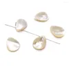 Pendant Necklaces Natural Seawater Shell Horizontal Hole Teardrop Shaped Beads 15x20mm Ladies Jewelry DIY Fashion Necklace Earrings