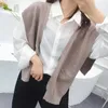 Bow Ties 2023 Style Knitted Fake Collar For Women Blouse Shirt False Ladies Detachable Female Decorative Necktie