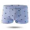 MUITAPANTES 5PCS/LOT Men's Boxer Shorts Panties estampados de algodão macho da cintura solta Colo