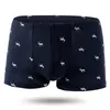 MUITAPANTES 5PCS/LOT Men's Boxer Shorts Panties estampados de algodão macho da cintura solta Colo