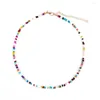 Choker Handmade Boho Colorful Resin Seeds Beads Short Necklaces Clavicle Collars For Women Party Jewelry Fashion