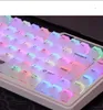 82/122 Key PC Transparent Frosted Keycap Set White Cherry Height Backlit Matte Profile for MX Switch Gaming Mechanical Keyboard
