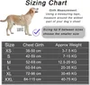 Hundhalsar Leases Harness Inget drag Reflekterande andningsbart justerbart husdjur för Vest ID Custom Patch Outdoor Walking Supplies 230314