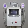 Cryolipoliza Lipofreeze Cryo Lipo Fat Fat Materne