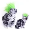 Kedi Kostümleri Legendog 5pcs Pet Kostüm Peruk Yumuşak Elastik Kayış Yavru Kedi Mane Köpek Halloween Noel Giysileri Elbise