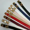 Luxurys Designers Belts For Woman Buckle Width 2.5cm Cowhide Leather 7colors Belt Gold Needle Buckle Letter G 221689