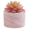 Decorative Flowers Nordic Marbled Artificial Plant Flower Succulent Ceramic Potted Desktop Decoration FZPJ029