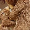 Dekoratif Nesneler Figürinler Paskalya Yaratıcı Anne ve Çocuk Tavşan Dekorasyonu Çiçek Sevimli Saman Tavşanı Ev Süsleri 230314
