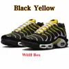 New Max Tn Plus Utility Tiger Running Shoes France Festival Triple Black With Box Men Women Graph Paper Brasilien Toggle Olive Icons Metallic Silver Trainers Dhgate New