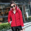 Damesgeul Lagen 2023 Autumn Winter Katoen slanke jas jas bovenkleding Gedekte Parka Dames Korte Parka -Stand -Kollar Ladies Hoodeded