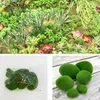 Fleurs décoratives 6pcs Faux Moss Rock Flocage Pierre Pelouse Micro Paysage Succulent DIY Décoration Accessoires Herbe Aquarium Jardin Plante