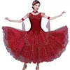 Stage Wear 2023 Waltz Tango Dancing Dress Women Performance Modern Dance Costumes 3 Color Ballroom jurken