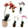 Decoratieve bloemen kunstmatige bonsai anti fade plastic trouwfeest nep vlinder orchidee voor het dagelijkse leven