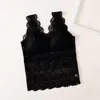 Bustiers Corsets Longue Bandoulière Large Dentelle Beauté Dos Enveloppé Poitrine Tube Top Bas Avec Coussin Sans Anneau En Acier Sous-Vêtements Camisole