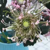 Dekorativa blommor 3 huvuden Artificial Needle Cushion Flower Fake Plants Crab Claw Chrysanthemum Wall Diy Wedding Home Decoration Floral