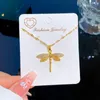 Dragonfly Pingents Colar Jewelry Acessórios para mulheres elegantes Luxuosos Correios de Clavícula Crega Presentes 316L Aço inoxidável