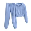 Pantalon deux pièces femme doux ensemble poche courte en peluche pull à capuche sweat taille haute lâche Harem deux pièces femmes costume 15A2