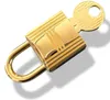 H 1 Lock 2 Keys Bag Parts Replacement For Designer Handbag Purse Duffle Luggage Stainless Metal Alloy Padlock #161 Polished Shine Golden & Silvery 2 Color Style