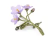 Brooches CSxjd Genuine Version High Quality Metal Bronze Violet Brooch Natural Pearl Vintage Women's Wedding Accessories