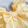 Vêtements pour chiens robes d'été personnalisées pour couleur bonbon mignon moyen petit chat vêtements Plaid princesse chiot vêtements pour animaux de compagnie 2 couleurs