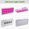 Światła uprawy pełnego widma 300/600/800/900/1000/1200/1800/2000W LED LED Light 410-730NM dla roślin wewnętrznych i namiot hodowlania szklarni kwiatowych