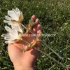 Высокие вибрации натуральные ясные Quartz Point Flower Gifts Healmanting Floral White Crystal Rock Stone Stone Druzy Cluster Mineral Образец украшения дома украшение