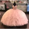 2023 Light Pink Quinceanera Dresses 스파게티 스트랩 레이스 아플리케 바닥 길이 수제 꽃 얇습니다