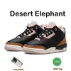 Jumpman 3 Mens Basketball Shoes 3S Neapolitan Dark Mocha Desert Elephant Kumquat Cardinal Red Cement Black Cat Racer Blue Press