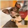 犬の襟のリーシュデザイナーと弓の豪華なレザーカラーとリーシュセットクラシックレターペットの小型犬Chihuahua Poodle whol dhuas